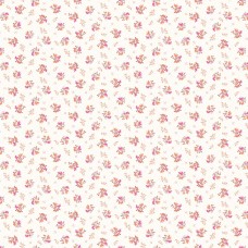 Andover Fabrics Memories Unfold by Stephanie Organes - Echinacea off white 1427-L