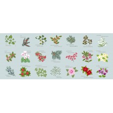 Lewis & Irene Winter Botanical - Winter botanical 5 inch squares panel with pearl