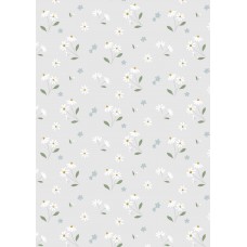 Lewis & Irene Floral Song by Cassandra Connolly - Daisies dancing on pale grey