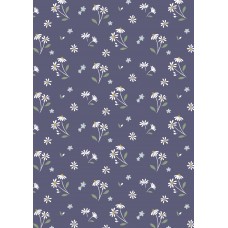 Lewis & Irene Floral Song by Cassandra Connolly - Daisies dancing on navy blue