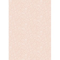 Lewis & Irene Sky Garden by Cassandra Connolly - Wintersweet - Pale Peach - CC60.1 Lewis & Irene Sky Garden by Cassandra Connolly - Wintersweet - Pale Peach - CC60.1